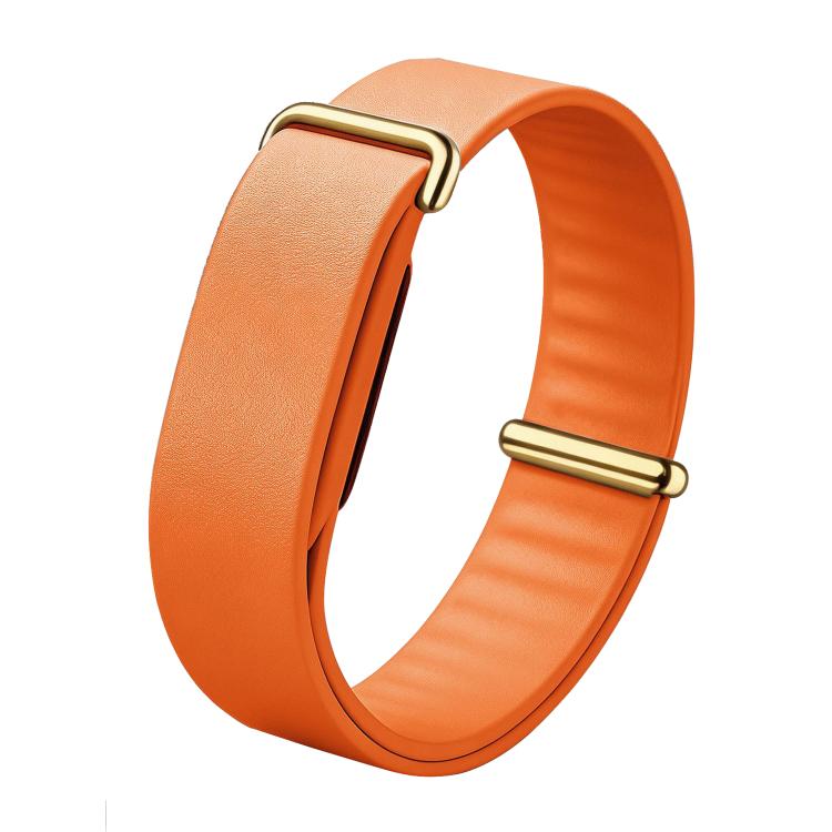 Google Fitbit Air Elevated Modern Band — Leather