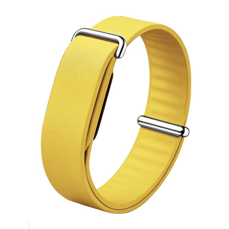Google Fitbit Air Elevated Modern Band — Leather