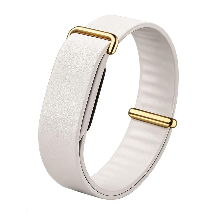 Google Fitbit Air Elevated Modern Band — Leather