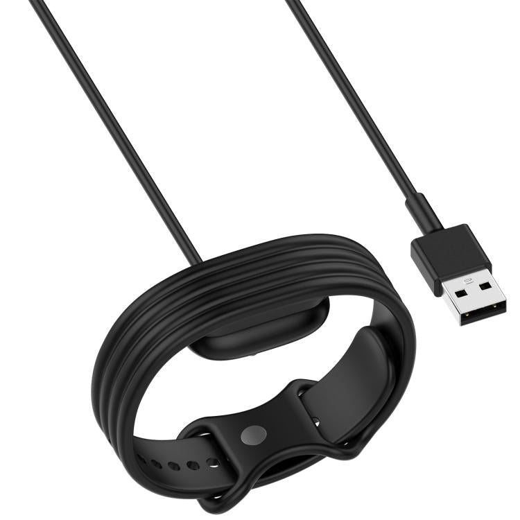 Google Fitbit Air Magnetic Charging Cable