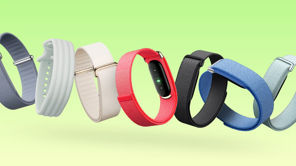 Google Fitbit Air Basics Band Bundle